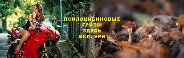 jwh Абаза