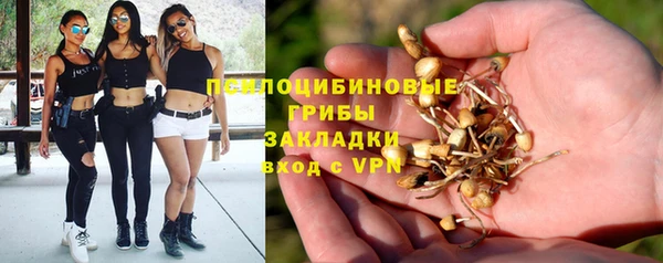 jwh Абаза